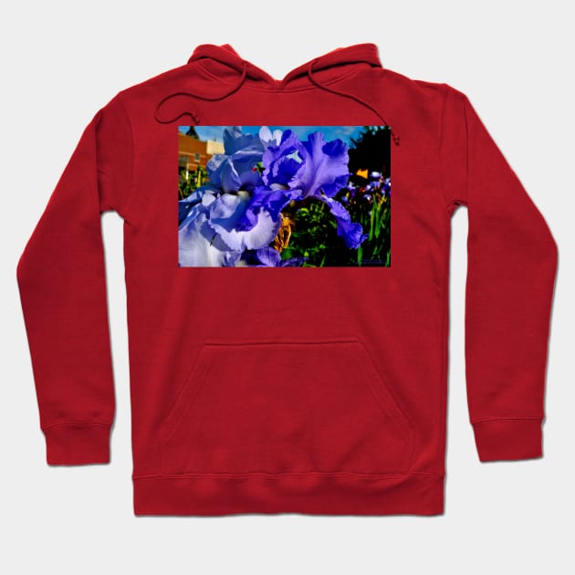 Blue Iris Hoodie by michaelasamples